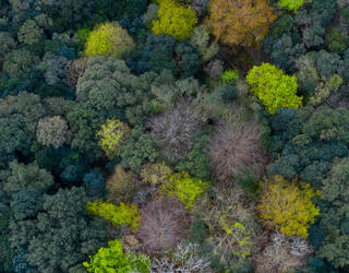  © Juan Carlos Munoz / naturepl.fr / EB Photo