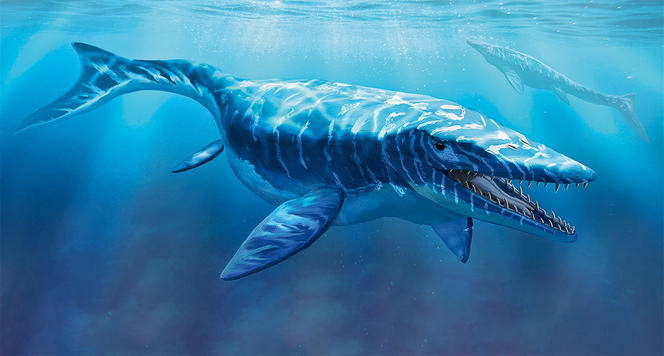 Sea monsters at the time of the dinosaurs