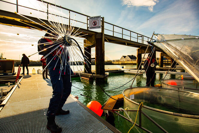 Leila Kittu with a spider