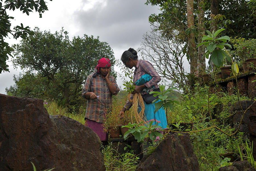 Putting Nature At The Heart Of Society To Fight Climate Change | CNRS News