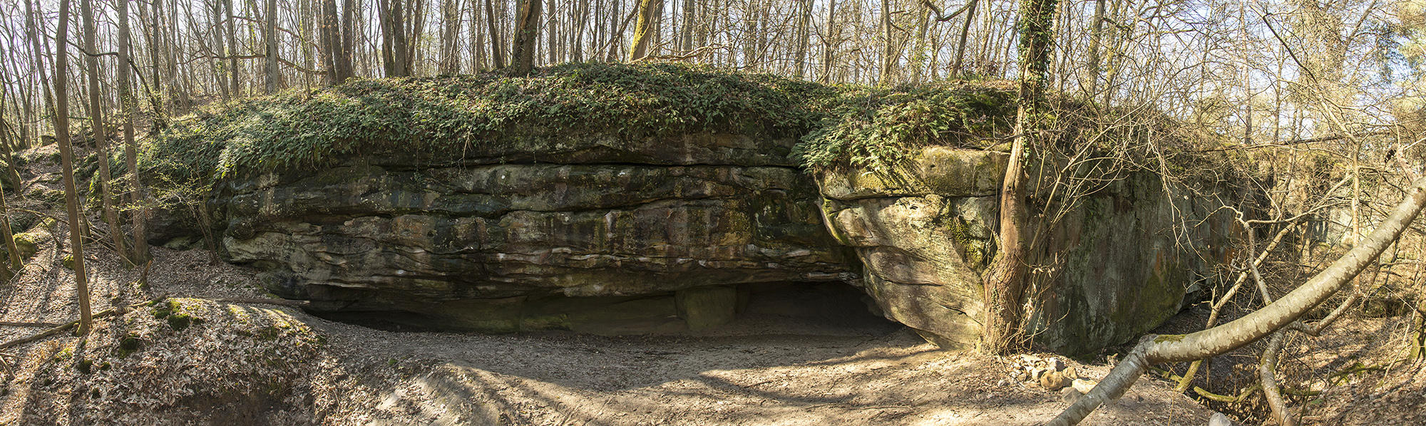 The forest of Fontainebleau is home to rock art treasures