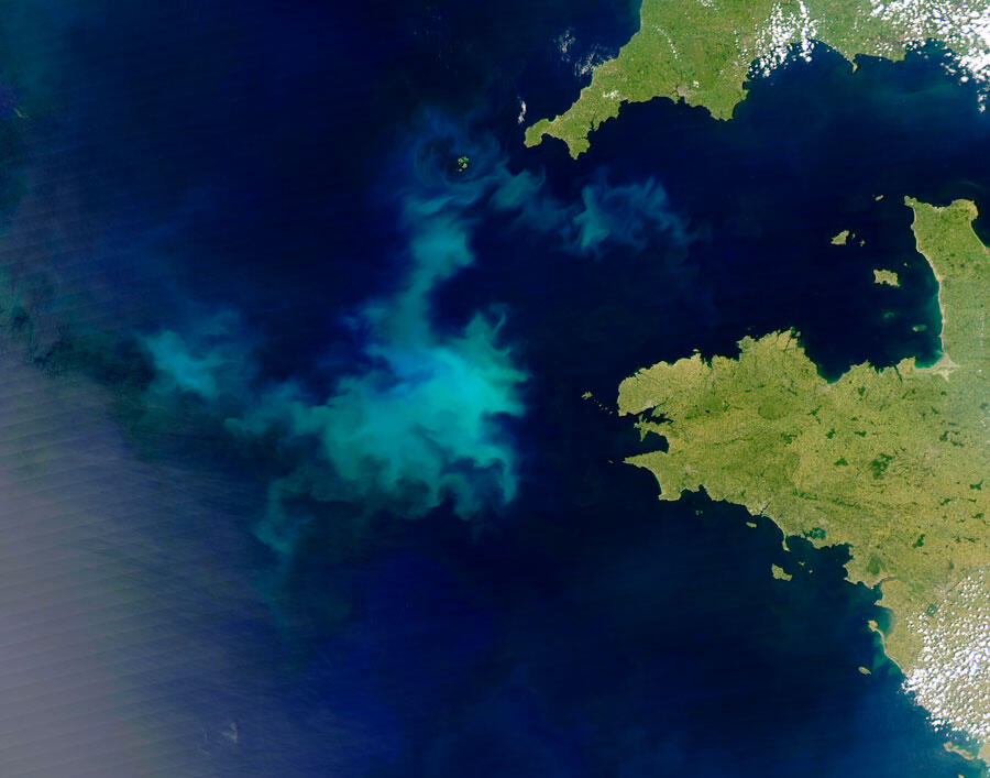 Off the coast of the Brittany region of France, a colorful phytoplankton bloom. Image Nasa/GSFC