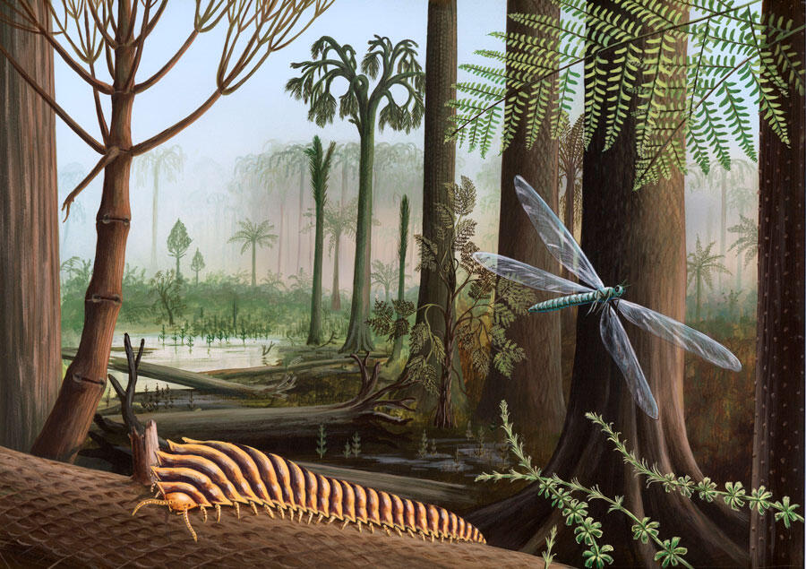 Artist's view of a forest at Carboniferous © Richard Bizley / SPL