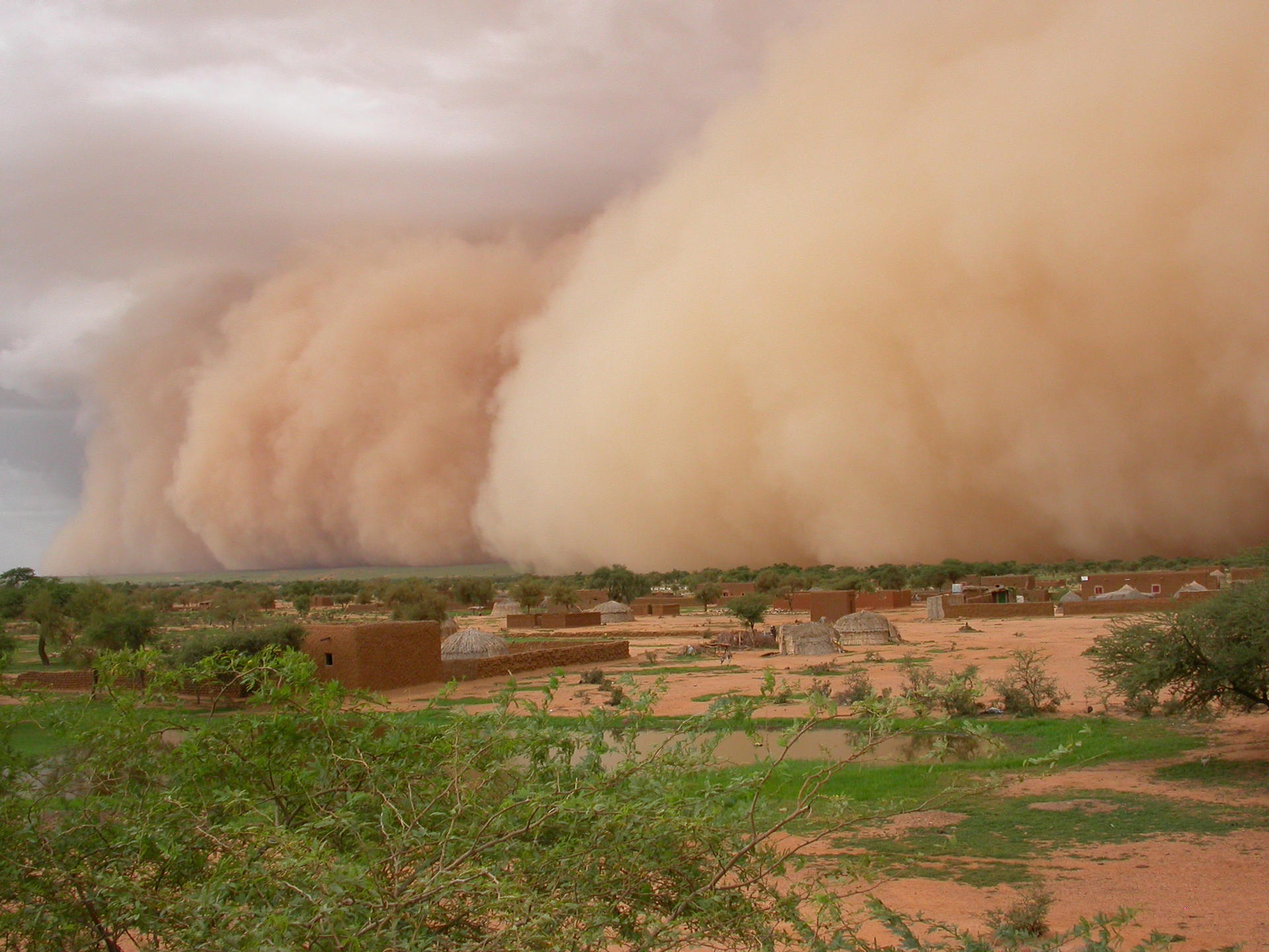 Почему города в которых воздух загрязнен пылью. Самум Песчаная буря. Песчаная буря Хабуб. Песчаная буря в Турции. Хамсин ветер пустыни.