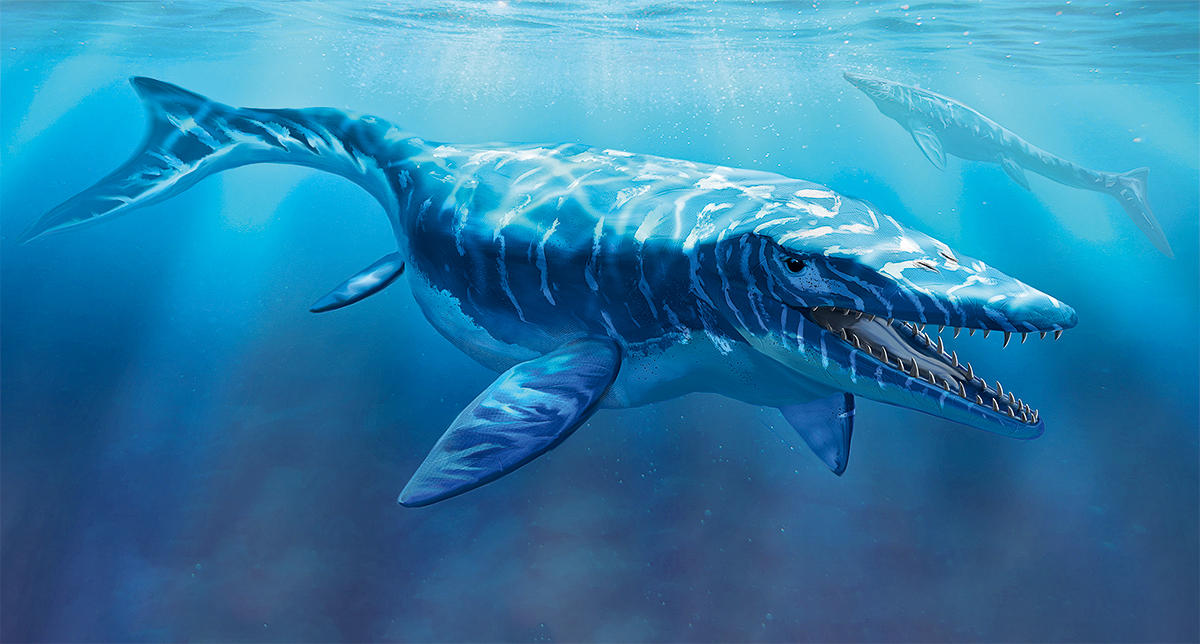 Sea monsters at the time of the dinosaurs | CNRS News