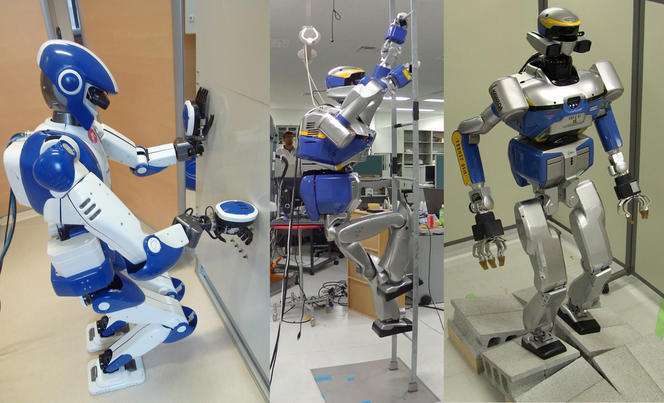 Putting Humanoid Robots to | CNRS News