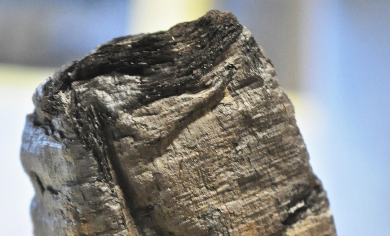Papyrus carbonisé pris sur le site d'Herculanum
