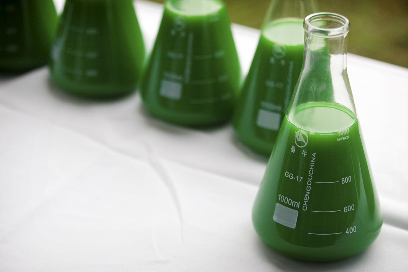 Особое вещество зеленого цвета в растениях. Зеленая химия. Химическая экология. Зеленый цвет в химии. Химия фон.
