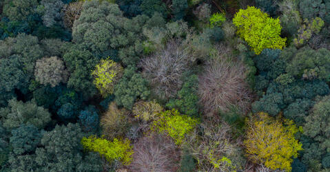  © Juan Carlos Munoz / naturepl.fr / EB Photo