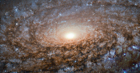 Spiral galaxy NGC 3521
