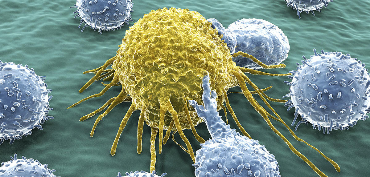 Cancer: the Immunotherapy Revolution | CNRS News