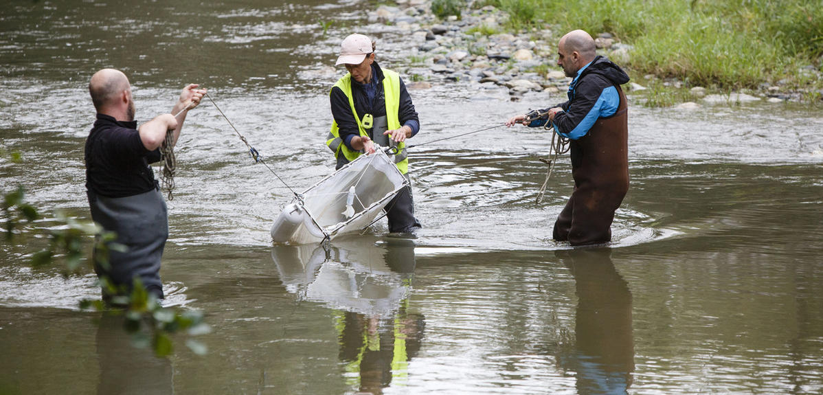 Saving our water resources | CNRS News