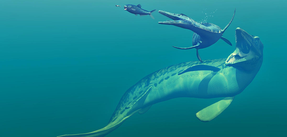 A Bite into the Past of Extinct Marine Reptiles | CNRS News