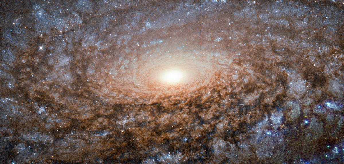 Spiral galaxy NGC 3521