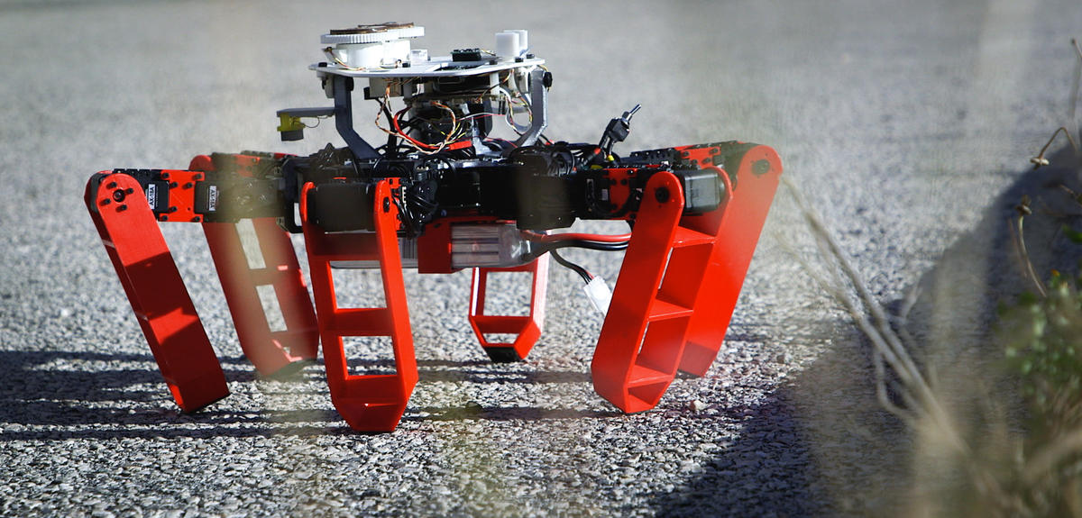 Six legged robot outside