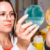 ©Cyril Frésillon / GMGM / CNRS Images Petri dish hold by a woman, one green and one orange