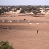 Saison sèche au Nord du Sénégal